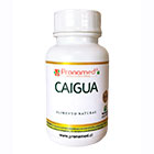 Caigua Caigua