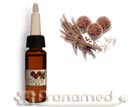 Aceite difusor Canela