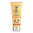 Acondicionador Cabello Rizado - Manteca de Karit y Macadamia