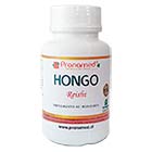 Hongo Reishi Hongo Reishi