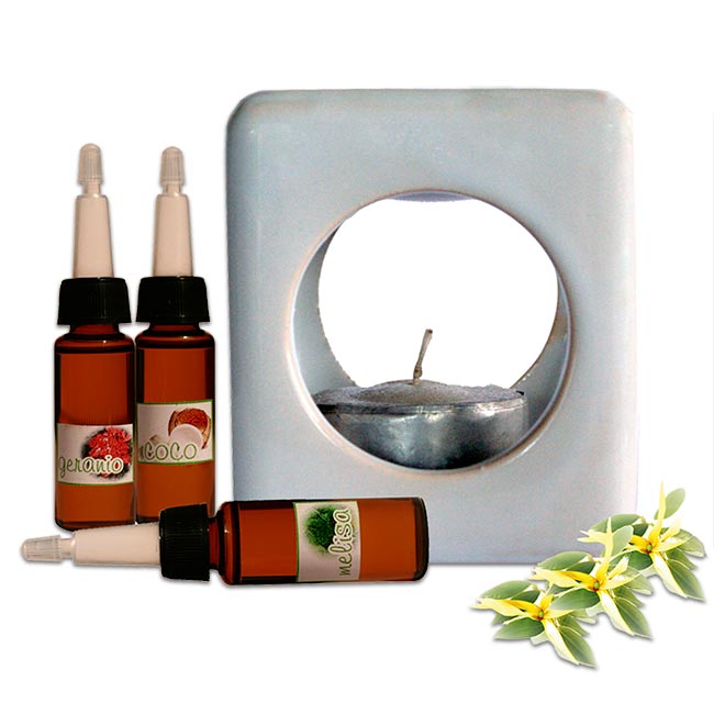 Pack Difusor con 3 Aceites Difusores - Click en la imagen para cerrar