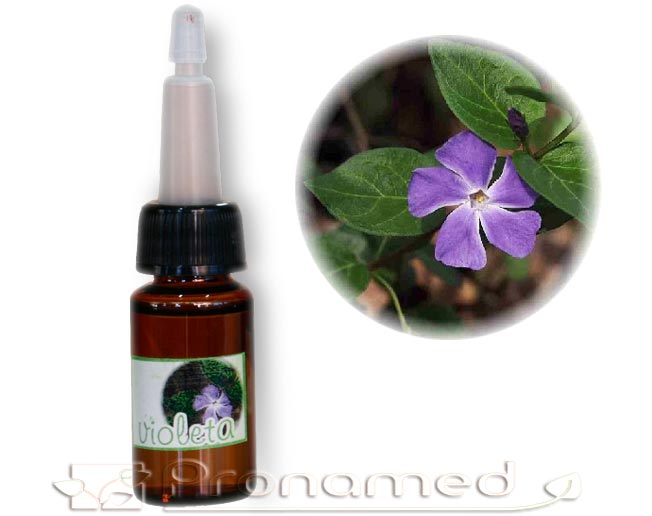 Aceite difusor Violeta - Click en la imagen para cerrar
