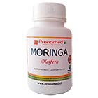 Moringa Moringa