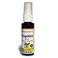 Spray Menta Jengibre Spray Menta Jengibre